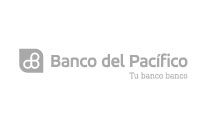 Play & Jump Clientes
